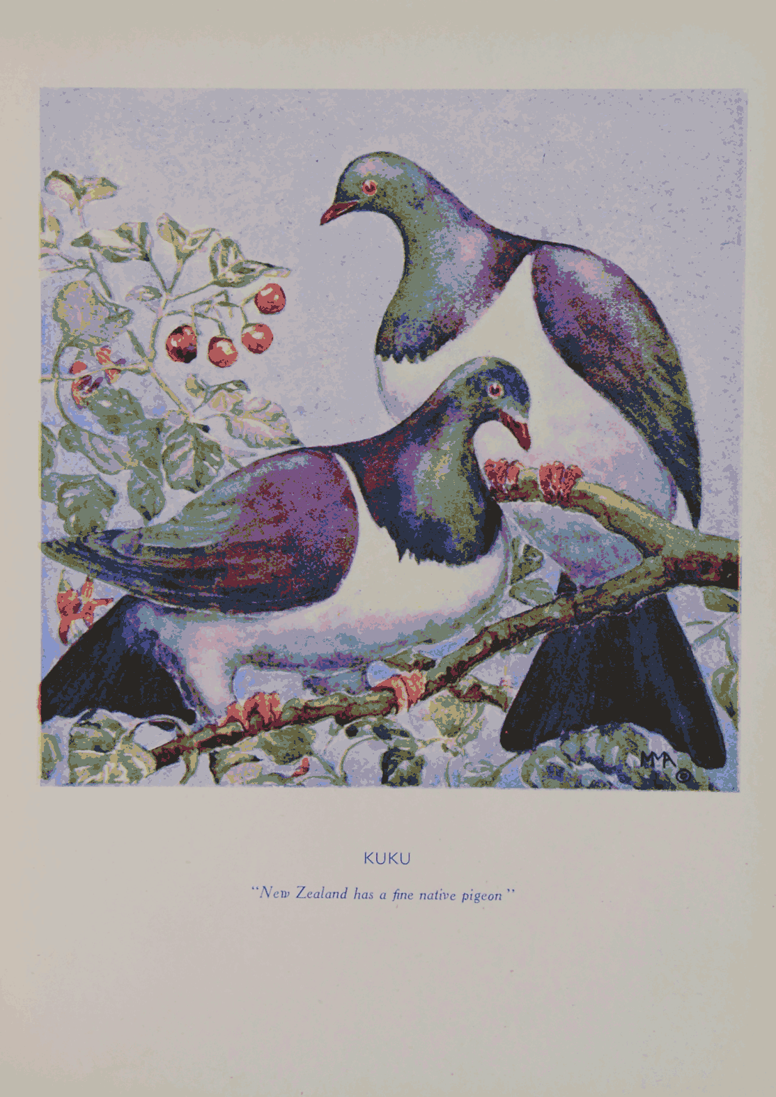 Page image