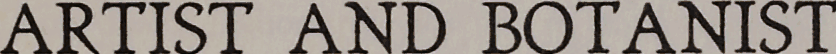Search result preview image