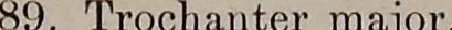 Search result preview image