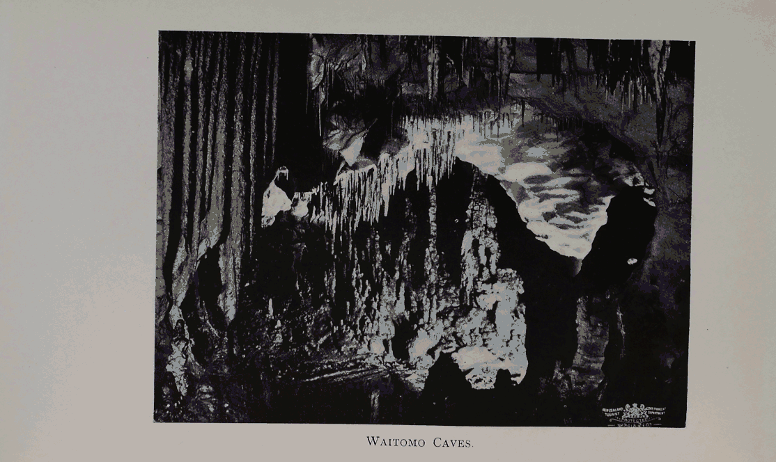 Page image