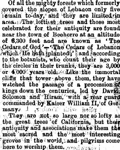Article image