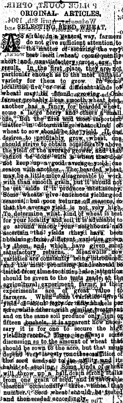 Article image