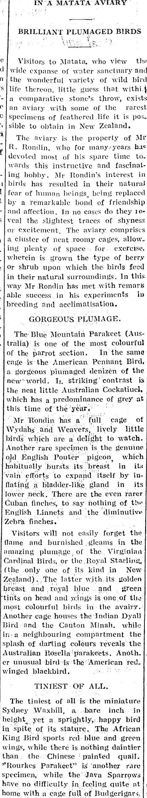 Article image