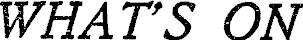 Article image