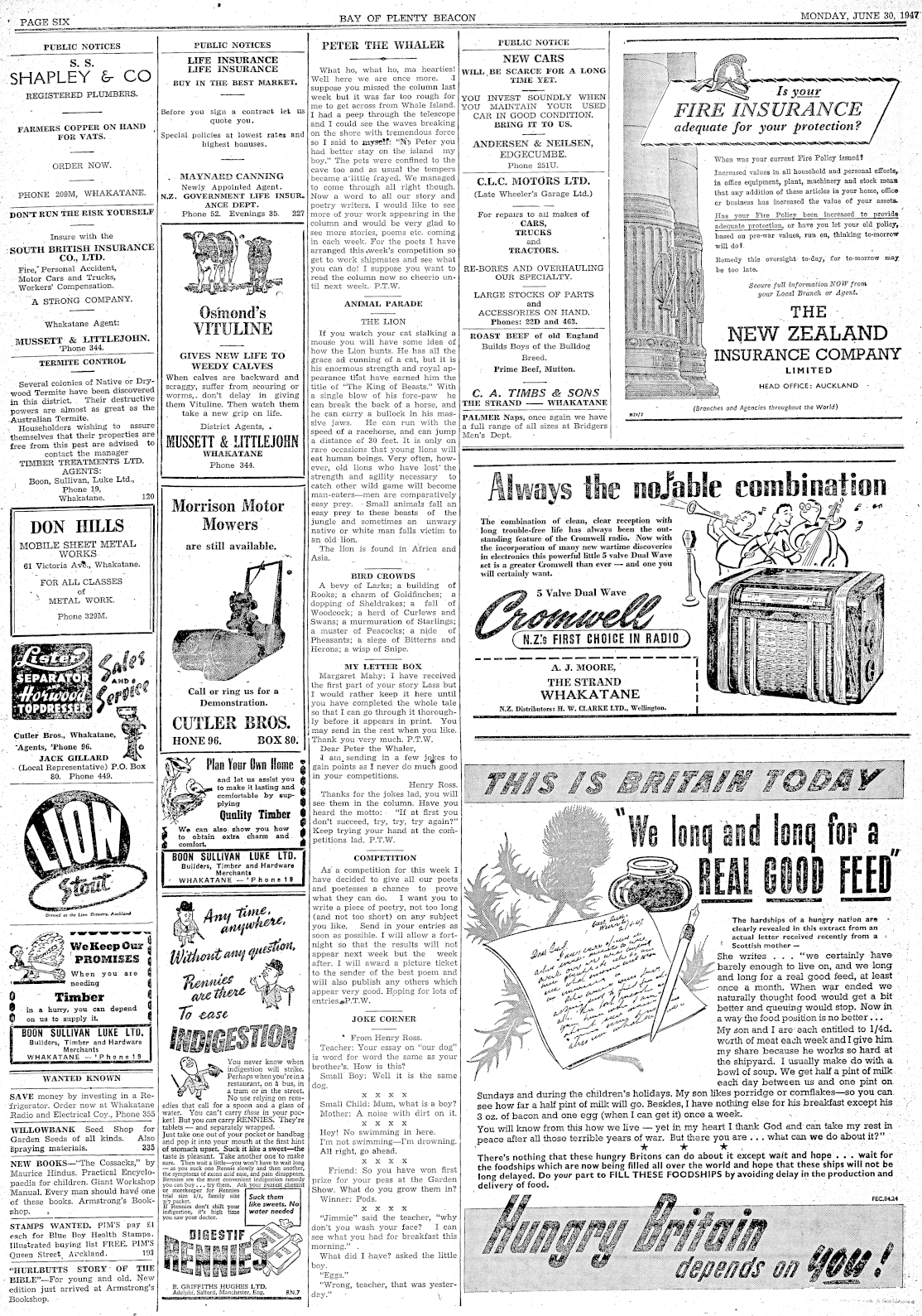 Page image