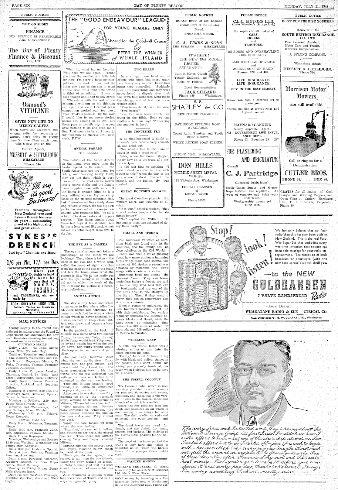Page image