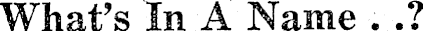 Article image
