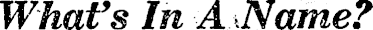 Article image