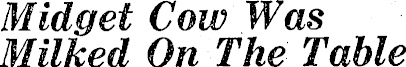 Article image