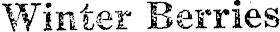 Article image