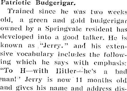 Article image