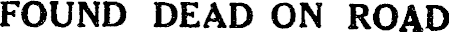 Article image