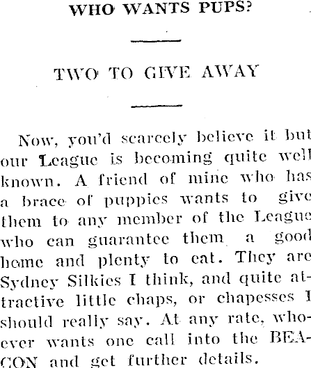 Article image