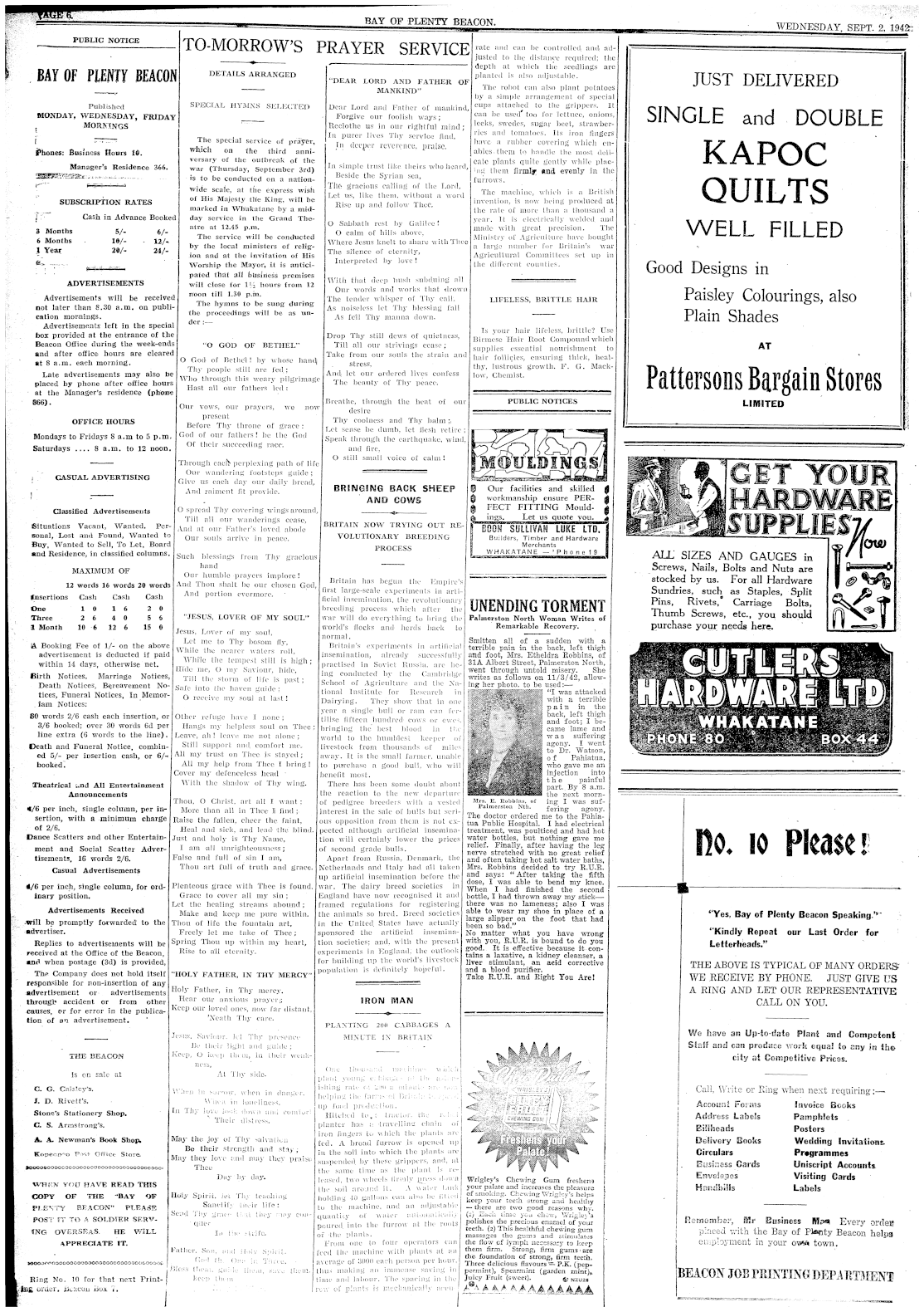 Page image