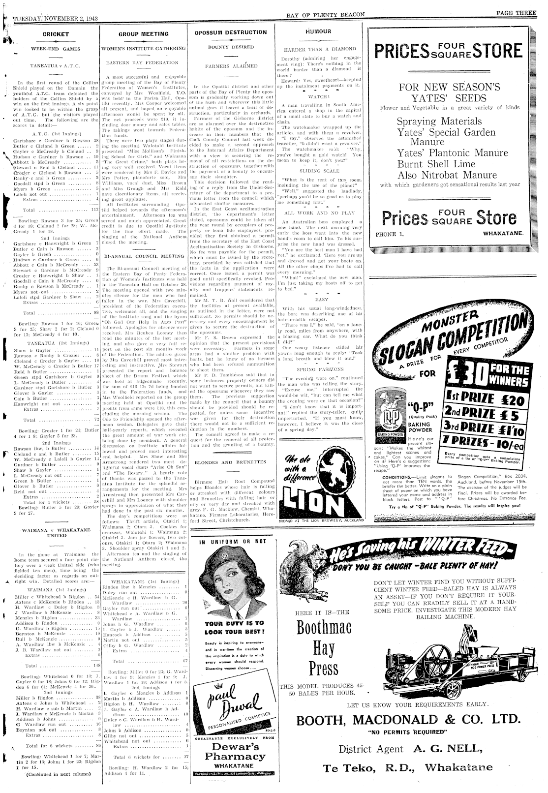 Page image