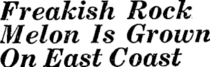 Article image