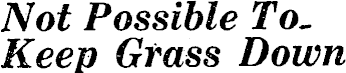 Article image