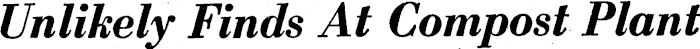 Article image
