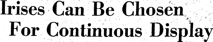 Article image