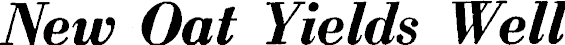Article image