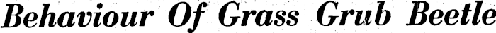 Article image