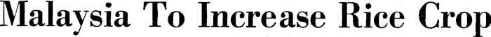 Article image
