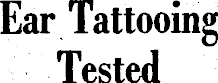 Article image