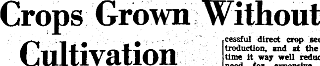 Article image