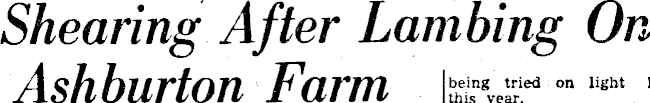 Article image
