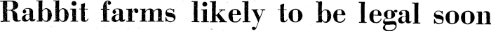 Article image
