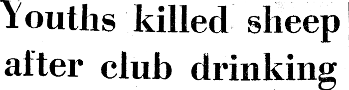 Article image