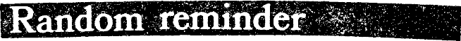 Article image