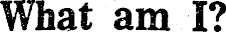 Article image