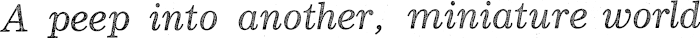 Article image