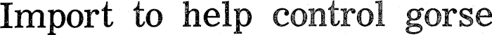 Article image
