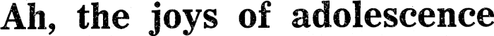 Article image