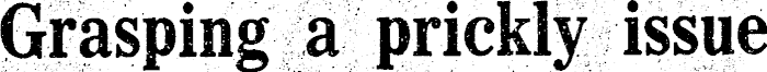 Article image