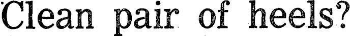 Article image