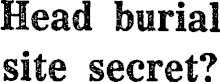 Article image
