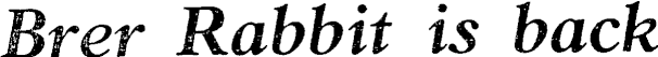 Article image
