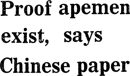 Article image