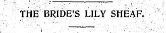 Article image