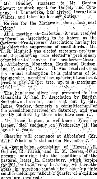 Article image