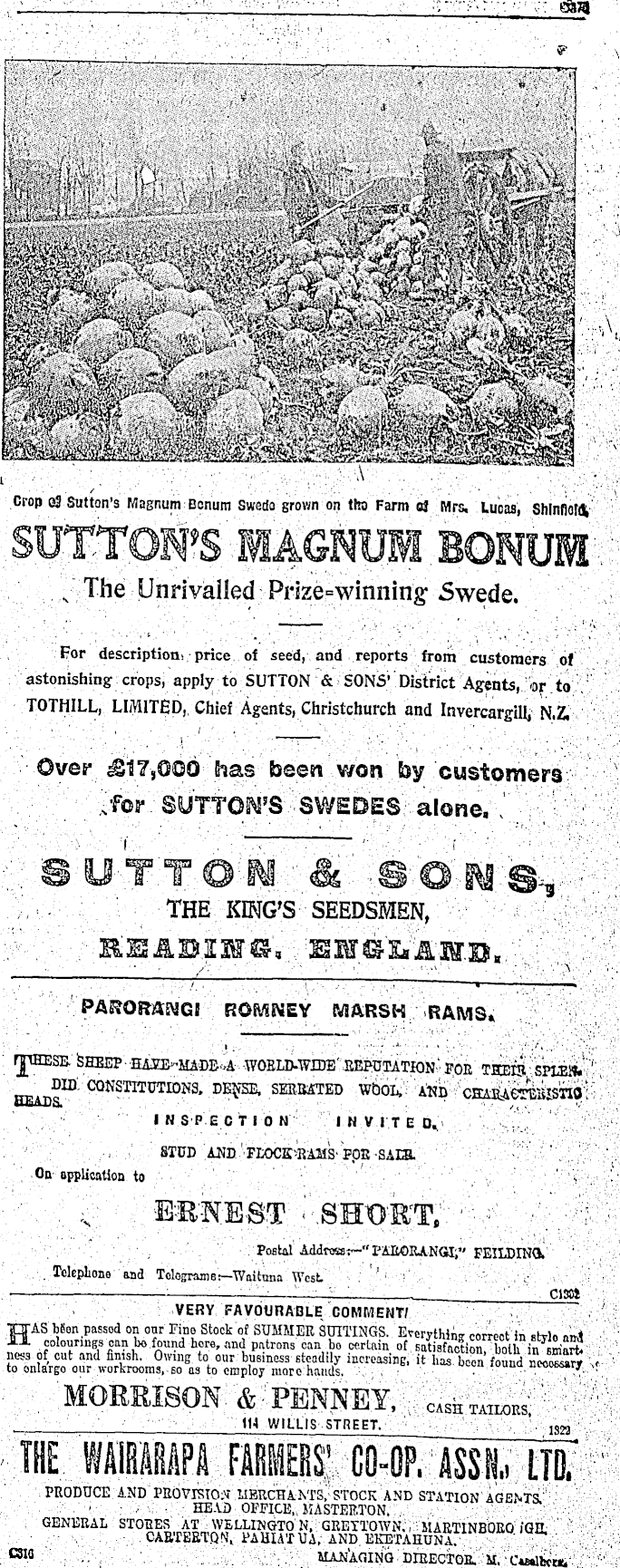 Article image