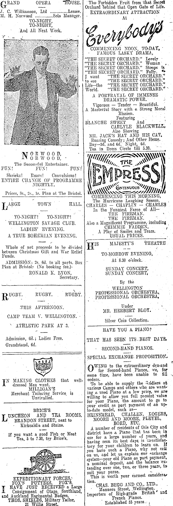 Article image