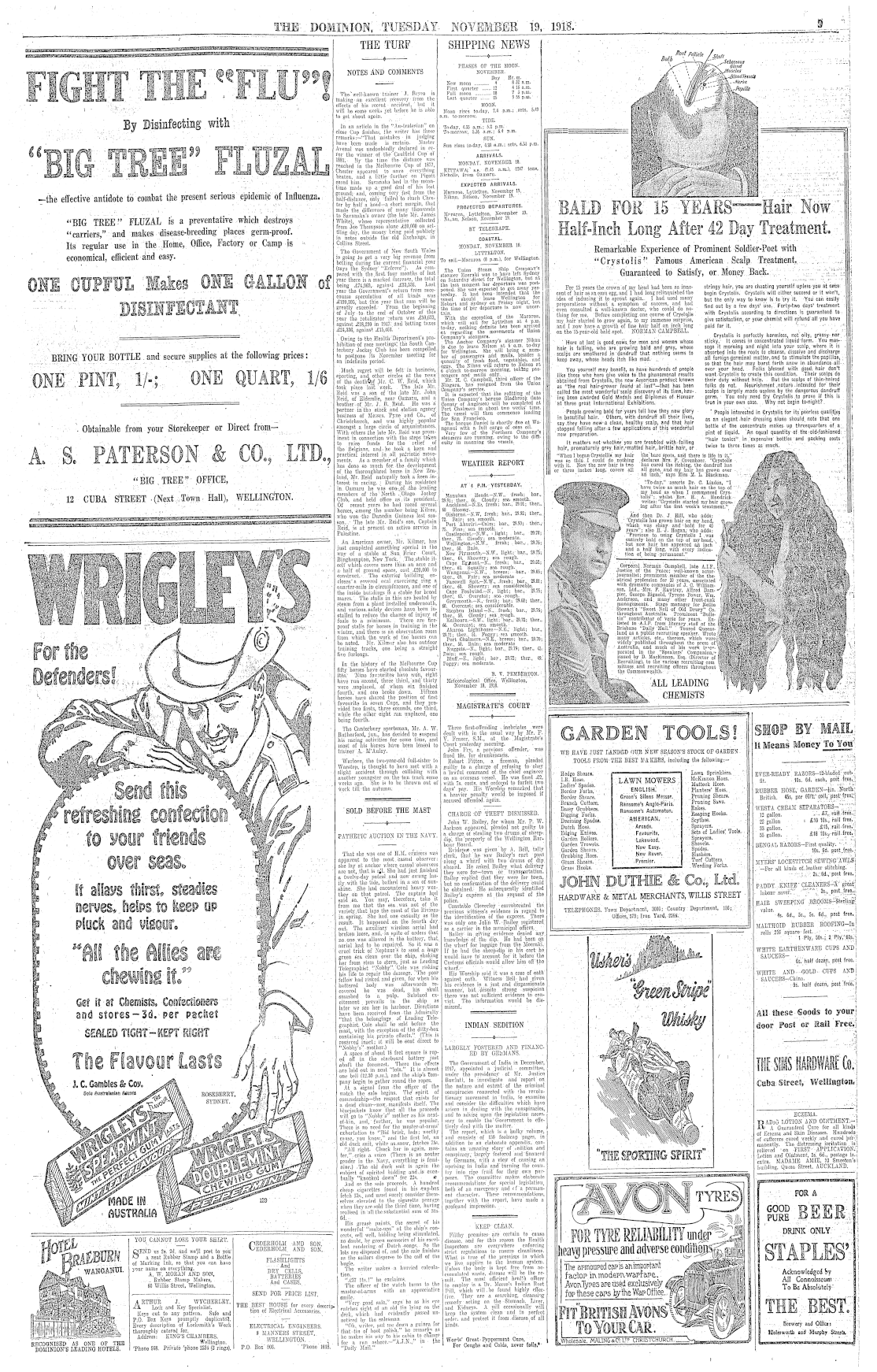 Page image
