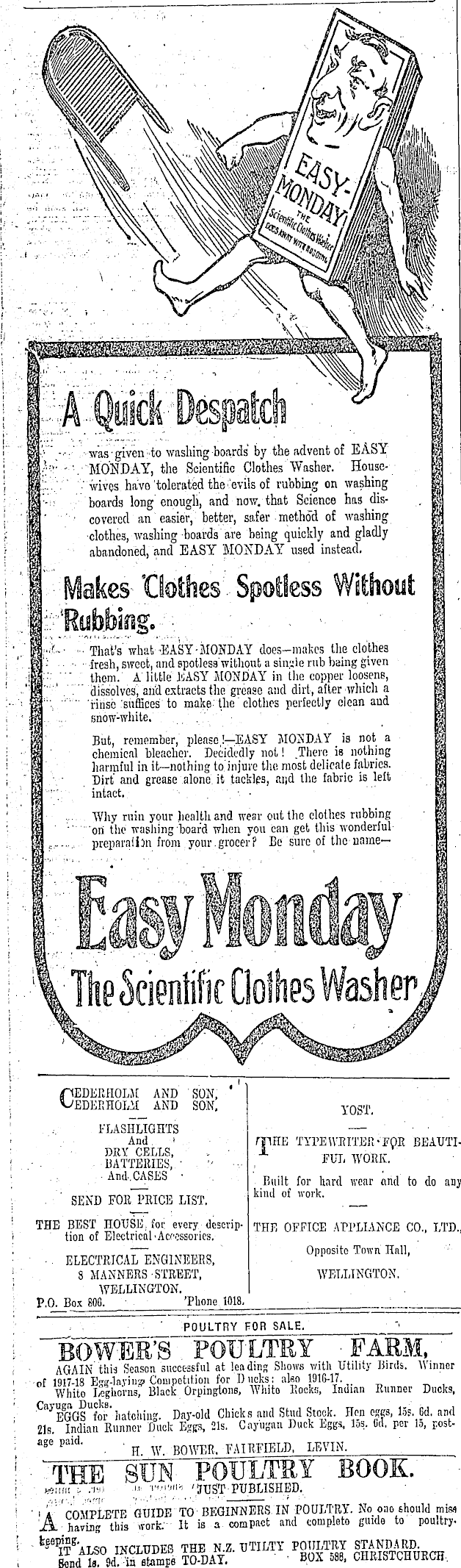Article image