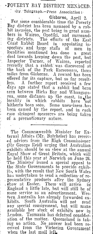 Article image
