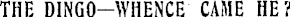 Article image