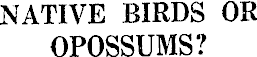 Article image
